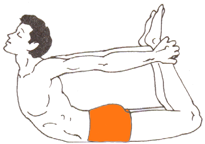 Chakra yoga - Saral Dhanurasana - the easy bow pose