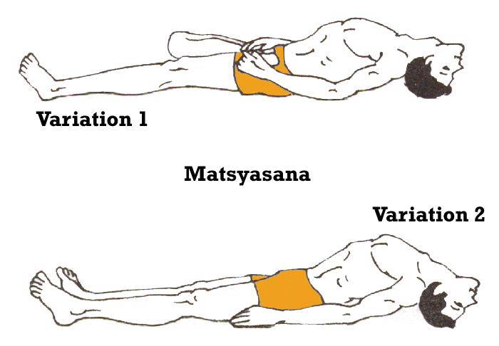 chakra yoga - matsyasana - the fish pose