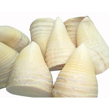 Bamboo shoots nutritional information