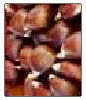 Chestnuts nutritional information