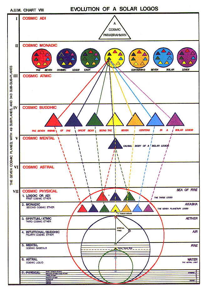 Evolution of a Solar Logos