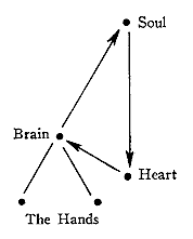 Soul / Brain / Hands / Heart