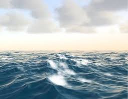 File:Wind-whipped sea 255px.jpeg