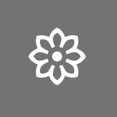 File:SuttaCentral icon square 170px.png