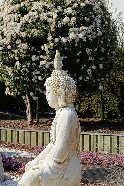 File:Buddha (51003116807).jpg