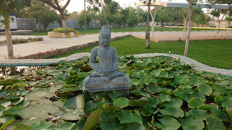File:Buddha in pond.jpg