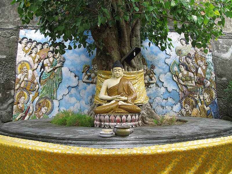 File:Bodhi tree replica at Brahmavihara Arama.jpg