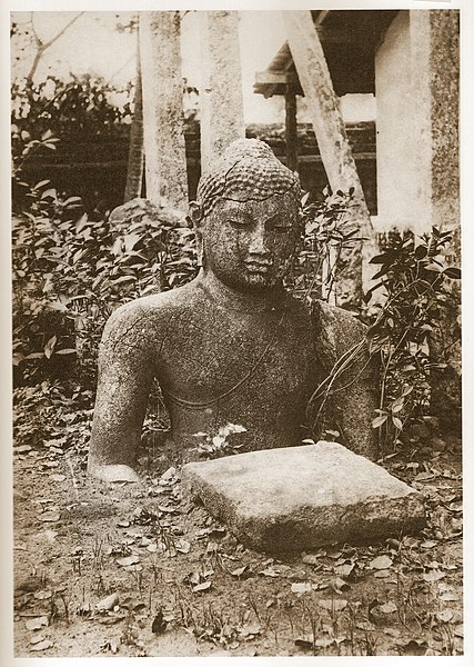File:Anuradhapura Bodhi Tree Buddha J.R. Hogg, 1895.jpg