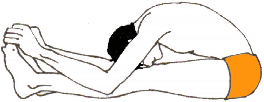 chakra yoga - paschimottasana - the back stretching pose