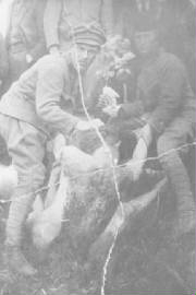 5Hungria1919.jpg