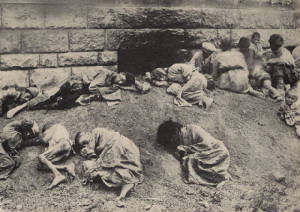 Armenids.jpg