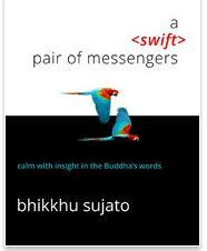 A Swift pair of messengers free PDF e-book