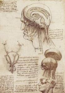 Complete works of Leonardo Da Vinci PDF