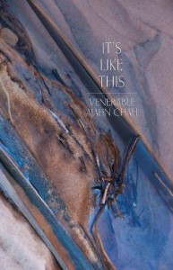 It’s Like This - 108 Dhamma Similes PDF