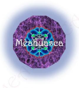 Guide Ayahuasca