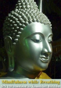 Mindfulness while Breathing PDF book