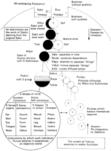 Sankhya Philosophy PDF