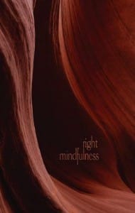 Right Mindfulness PDF book guide