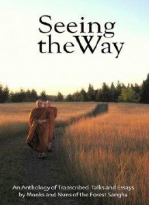 Seeing the Way PDF