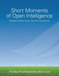 Short Moments of Open Intelligence free ebook