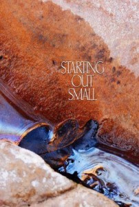 Starting Out Small PDF book on Buddhism