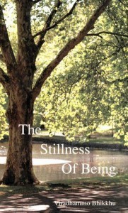 Stillness of Being PDF Book