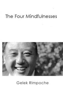 The Four Mindfulnesses