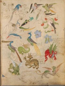 The Illuminated Sketchbook of Stephan Scriber