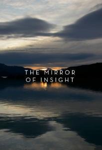 The Mirror of Insight pdf