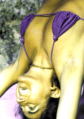 Image20.gif (81754 bytes)