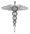 Image8.gif (2574 bytes)