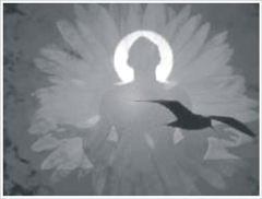 MEDITACION